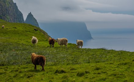 Wyspa Sudoroy na Wyspach Owczych