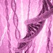 Sprawa Colmana Chadama podgrzewa obawy związane z wykorzystaniem testów DNA