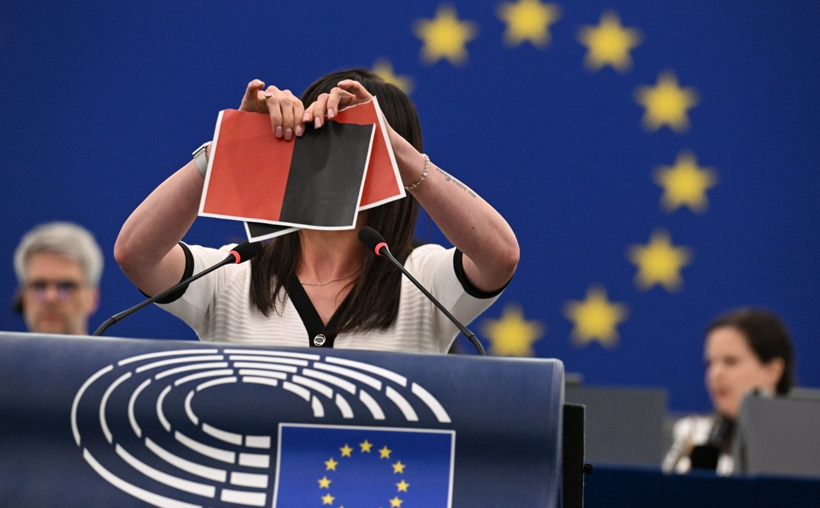 The EP criticizes Zelensky. It is about giving the unit the name "Heroes of the UPA"