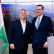 Surdykowski: Moment wielkiej niepewności