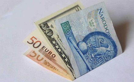 Polska nie jest już zieloną wyspą