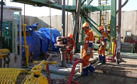 Total jest przekonany o odkryciu złoża przez Petrolinvest