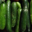 Nabywca musi wiedzieć, skąd pochodzą ogórki