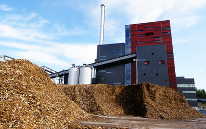 Zdecydowaną większość biomasy spalanej w polskich zakładach energetycznych stanowi biomasa drzewna.