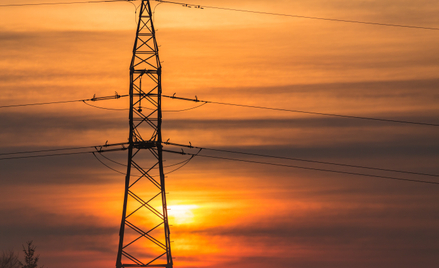 Credit Agricole BP: Energia elektryczna może być tańsza