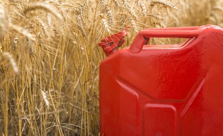 Akcyza od paliwa dla rolników posiadających bydło