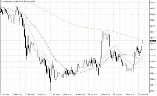Notowania kukurydzy w USA – dane dzienne