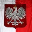 Orzeł z problemami. PiS chce zmienić hymn i godło