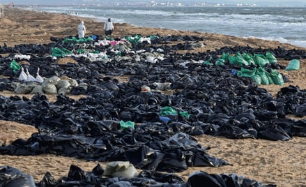 Wolontariusze ratują zwierzęta i oczyszczają plażę w Anapie z ropy, która wydostała się z zatoniętyc