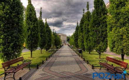 Aleje Karola Marcinkowskiego w Poznaniu to reprezentacyjna ulica w samym centrum miasta. Przebiega n