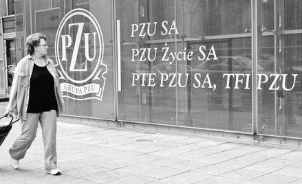 Do inwestorów indywidualnych może trafić około 9 mln akcji (36 proc. oferty) największego polskiego 