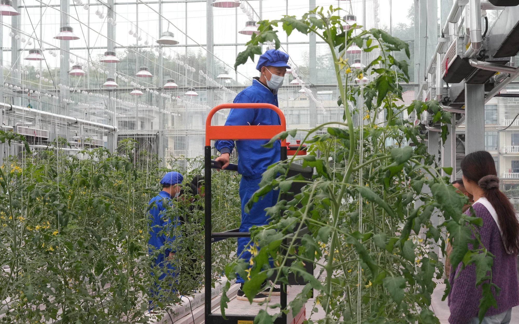 Załamanie eksportu z Sinciangu: chiński koncentrat zalega w magazynach