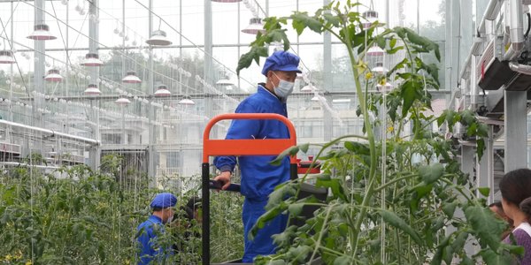 Załamanie eksportu z Sinciangu: chiński koncentrat zalega w magazynach