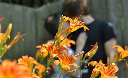 fot. CourtneyCarmody.com