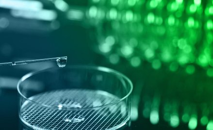 Scope Fluidics: Prace zgodnie z harmonogramem