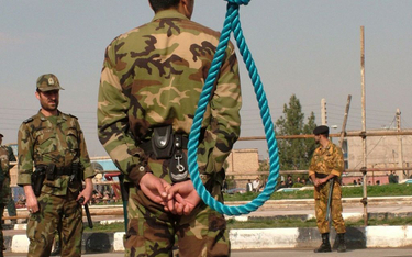 Iran: Wykonano egzekucję "krokodyla Zatoki Perskiej"