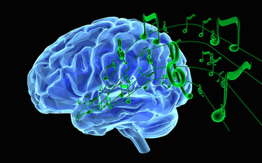 W moim mózgu brzmi muzyka
