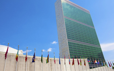 Andrzej Towpik: ONZ na pomoc światu