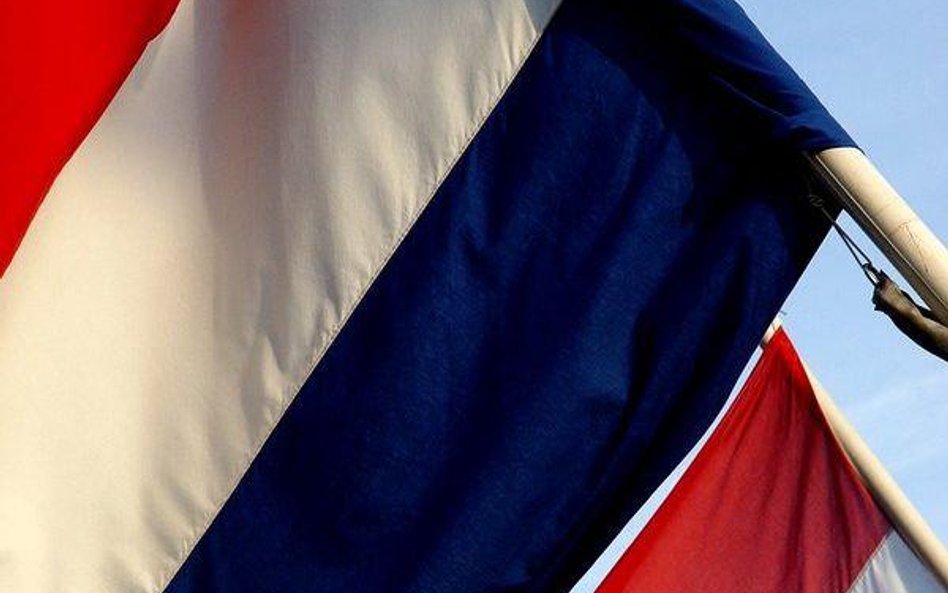 1 kwietnia 2013 r. w Holandii weszły w życie nowe regulacje dotyczące zamówień publicznych