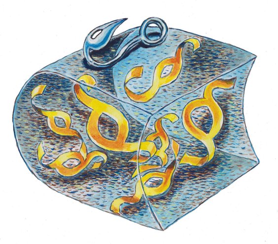 Rysuje Mirosław Owczarek