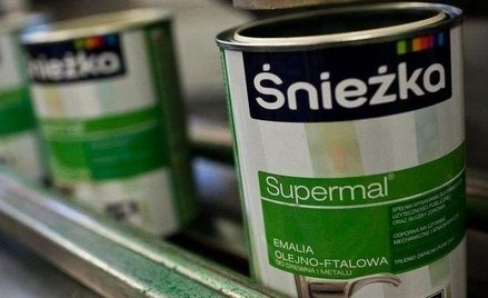 Śnieżka: Ponad 90 mln zł na inwestycje w 2018 r.