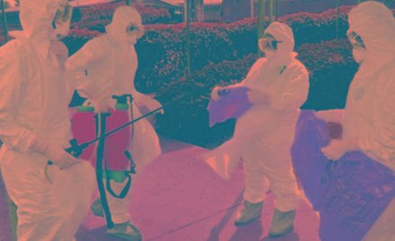 WHO - niezrealizowany plan walki z ebolą