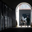 Stadnina, która rozsławiła polskie konie