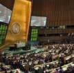 Syria: wojna dwóch kobiet