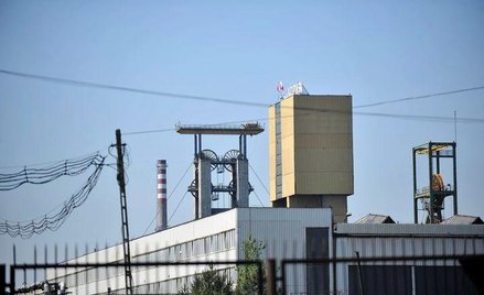 Rząd, zamykając w kwietniu prywatyzację Enei, nie wybrał dla niej inwestora, ale przedstawił scenari