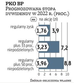 Prawdopodobnie PKO BP będzie w stanie wypłacić w przyszłym roku co najmniej połowę wypracowanego w t