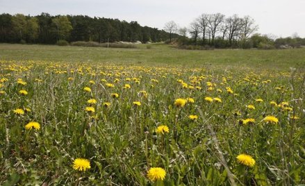 Podaż terenów budowlanych znacznie przewyższa popyt