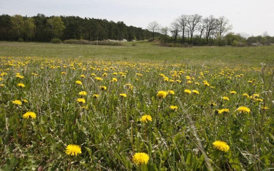Podaż terenów budowlanych znacznie przewyższa popyt