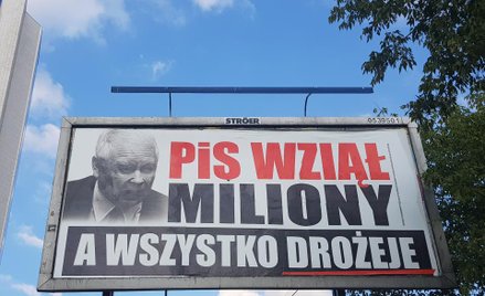 Dąbrowska: PO zrobiła billboardy, PiS jeszcze więcej