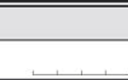 W punkcie 83 należy podać liczbę składanych załączników. Ma to znaczenie, jeśli liczba załączników j