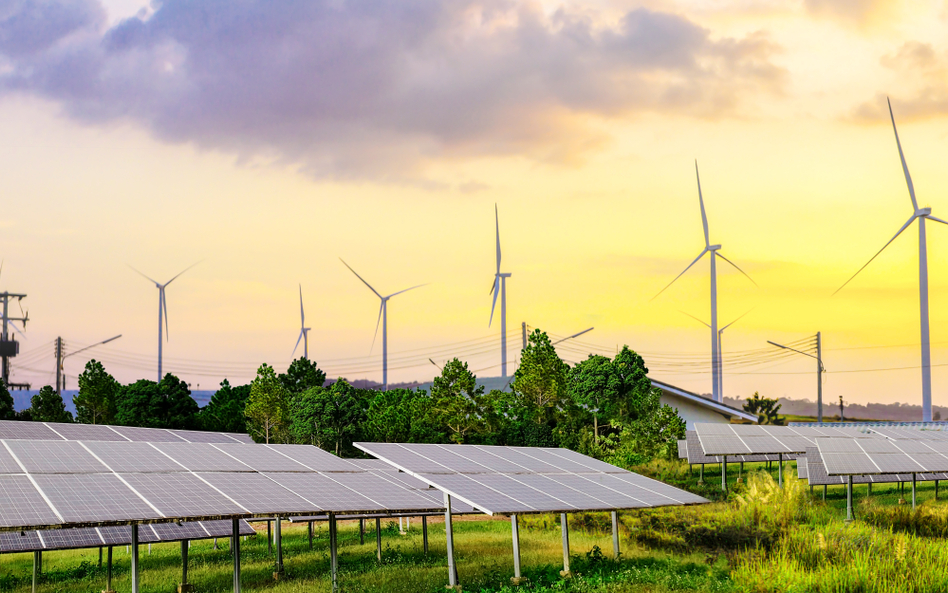 Od solarów do pasieki, czyli Niemcy w brytyjskiej energetyce