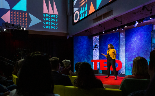 Wystąpienia z TED, które odbyły się w Nowym Jorku, zostały sfilmowane i od wiosny będą publikowane n