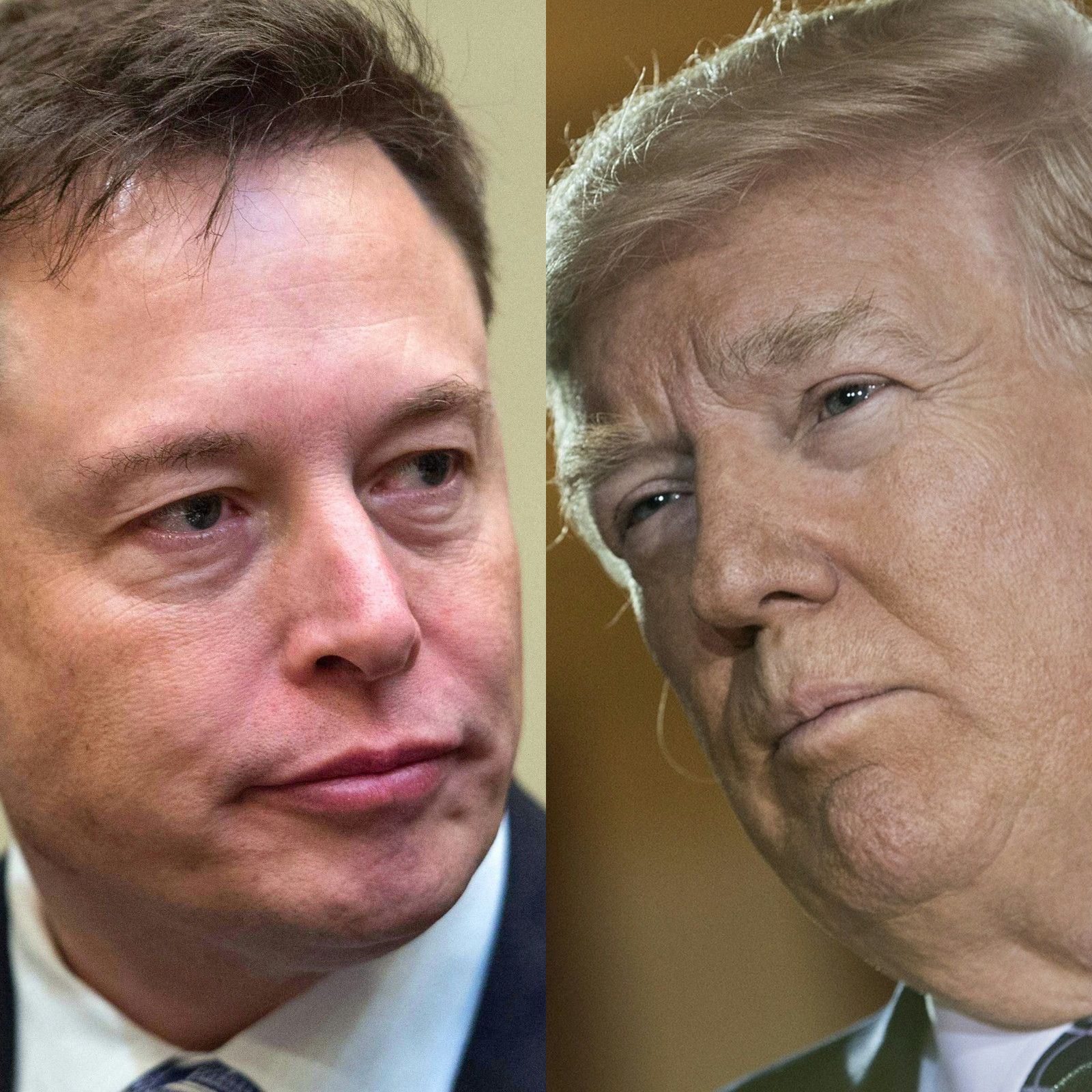 Elon Musk Przywrócił Donalda Trumpa Na Twittera. „Vox Populi, Vox Dei ...