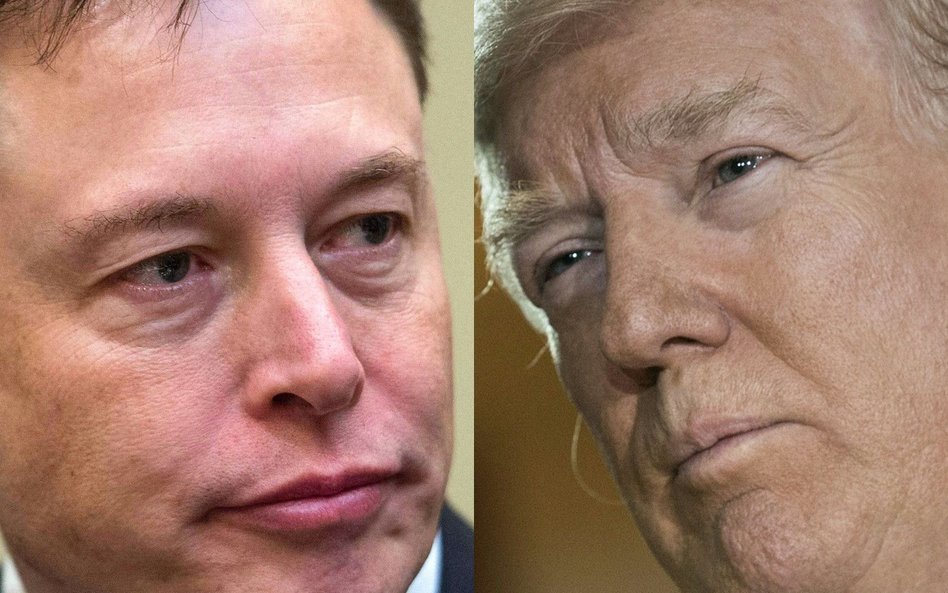 Elon Musk przywrócił Donalda Trumpa na Twittera. „Vox Populi, Vox Dei”