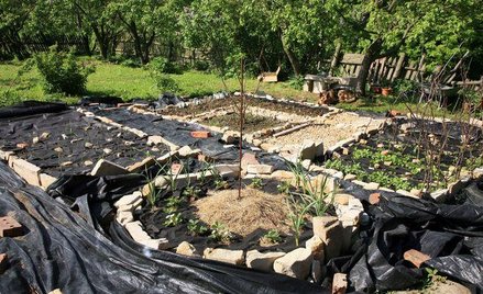 Stawka VAT na usługi zakładania ogrodów