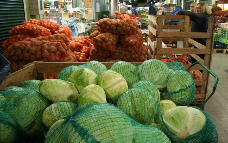 Kapusta wyjątkowo w cenie