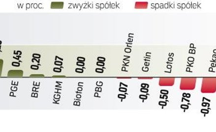 Po huśtawce nastrojów WIG20 stracił ostatecznie 0,08 proc. Tuż po starcie sesji indeks osunął się o 