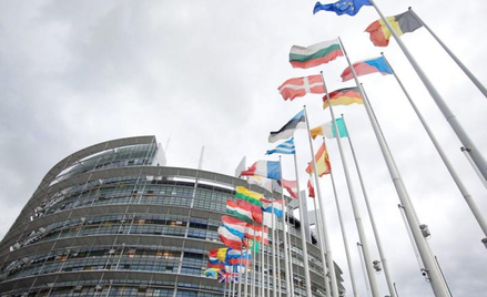 W poprzedniej kadencji Parlamentu Europejskiego (na zdjęciu jego strasburska siedziba) większość pol