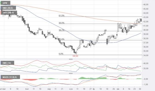Od czerwca notowania akcji warszawskiej giełdy systematycznie zwyżkują. W ciągu niecałych trzech mie