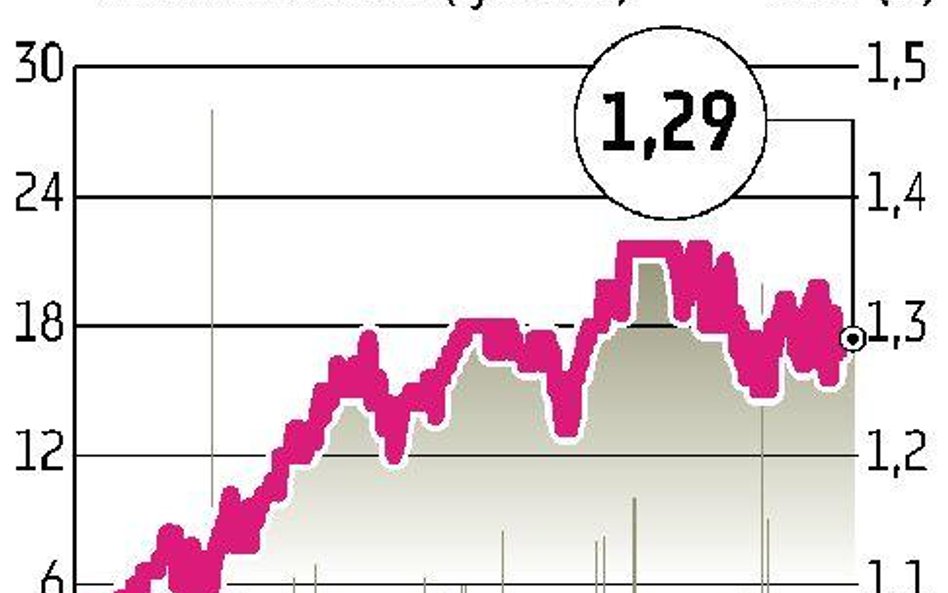 SkyEurope Lotnicza spółka poszukuje inwestora