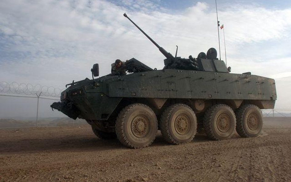 Groźne rosomaki, kraby i langusty