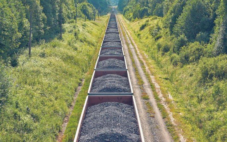 W związku z embargiem na rosyjski węgiel energetyczny Polska będzie musiała sprowadzić w tym roku dr