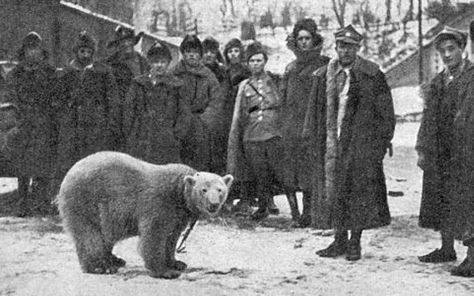 Baśka z Murmańczykami w 1919 r. (zdjęcie autorstwa Saryusza-Wolskiego z „Tygodnika Ilustrowanego” z 