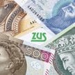 Powrót na mały ZUS+: niższe składki, większy podatek