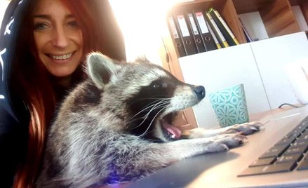 Szop Edward i jego właścicielka. Kobieta opublikowała szokujące wyniki sekcji zwłok zwierzęcia.