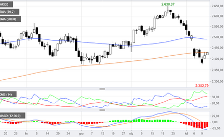 WIG20 wrócił do średniej